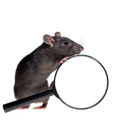 PROTECTION CONTRE LES NUISIBLES